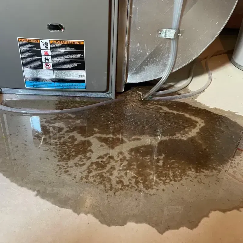 Appliance Leak Cleanup in Bryn Mawr-Skyway, WA