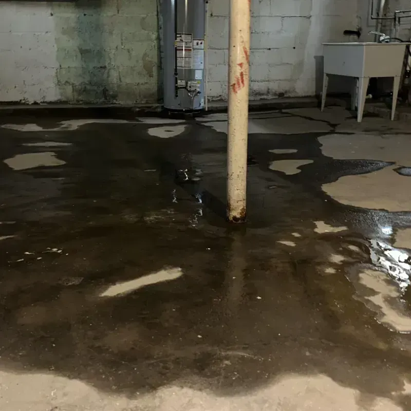 Emergency Water Extraction And Removal in Bryn Mawr-Skyway, WA